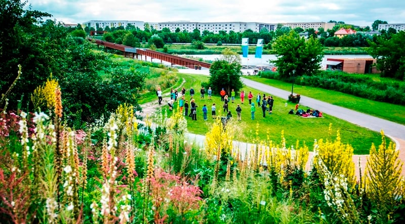 Ausflüge in die Natur in Berlin und Brandenburg