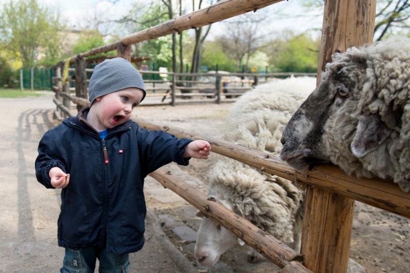 Foto: Sebastian Kahnert, dpa