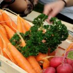 Garden Tips and Urban Gardening