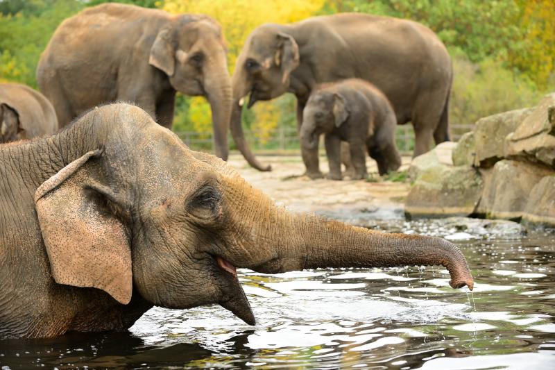 Osterferien im Tierpark Berlin-Friedrichsfelde