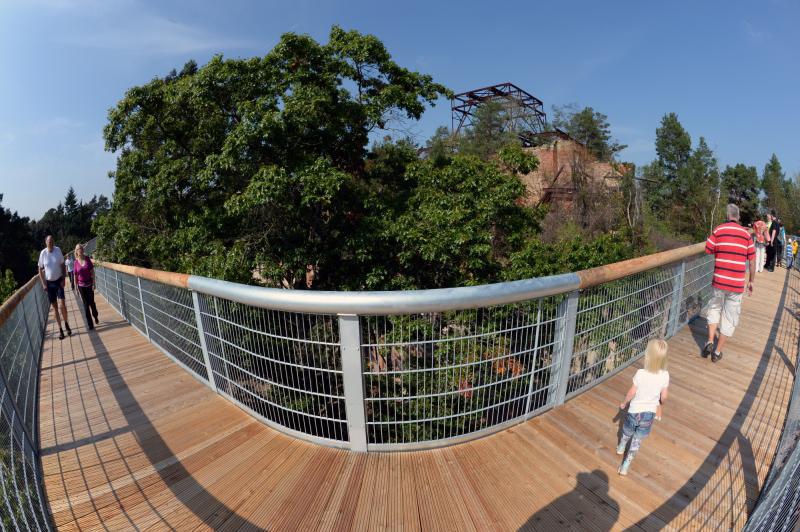 Treetop Path in Beelitz