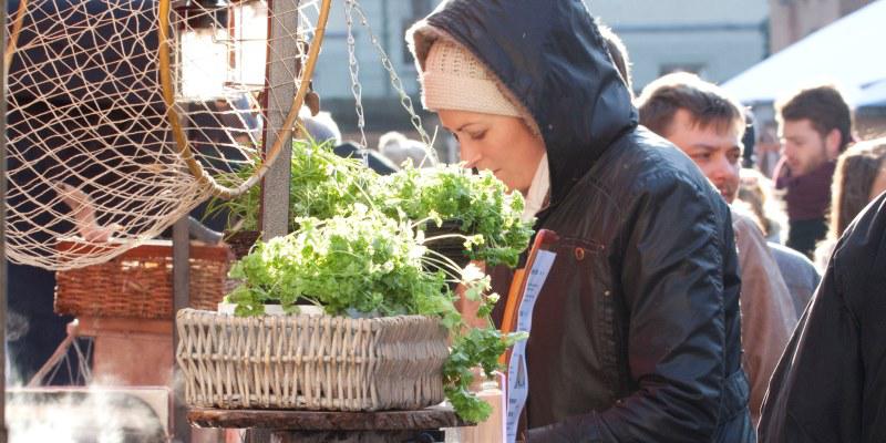 Street Food auf Achse in der Kulturbrauerei