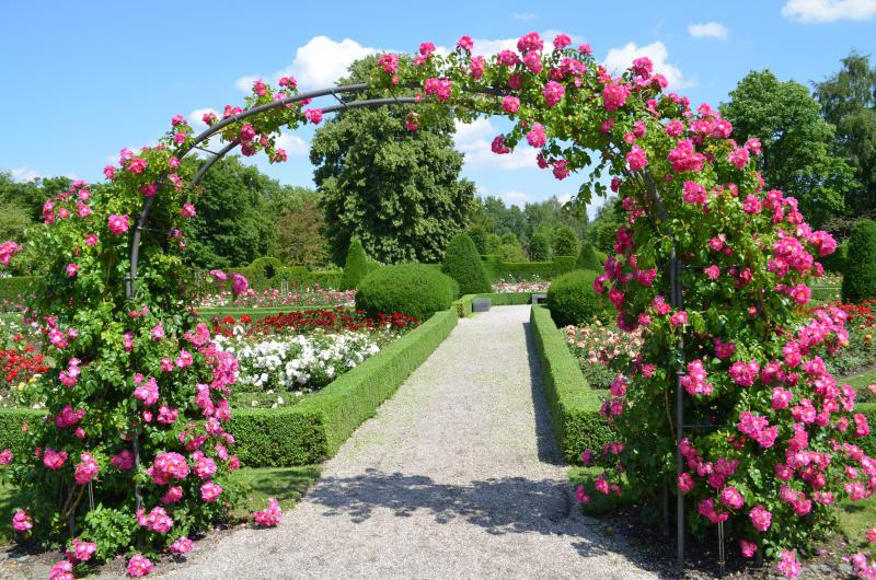 Britzer Garten Aktivitäten bei schönem Wetter Top10berlin