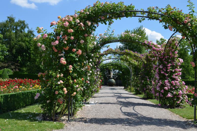 Britzer Garten Aktivitäten bei schönem Wetter Top10berlin