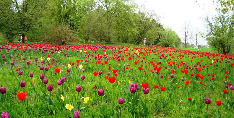 Britzer Garten Aktivitäten bei schönem Wetter Top10berlin