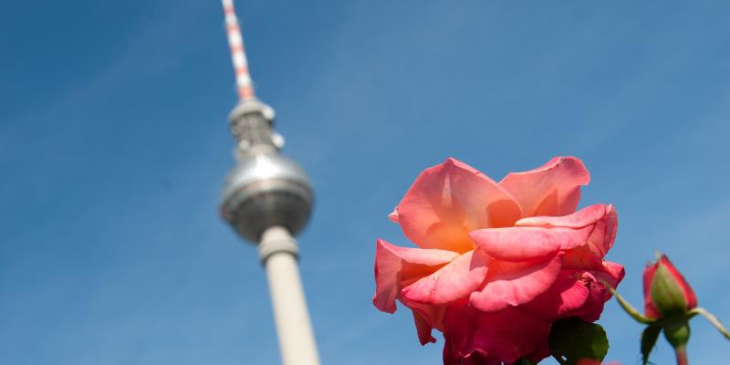 Heiraten im Fernsehturm