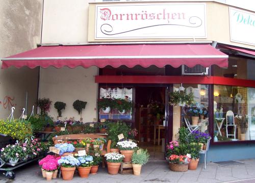 Dornröschen