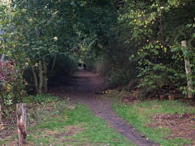 Hundeauslaufgebiet Forst Jungfernheide