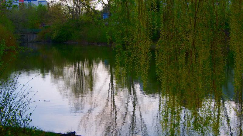 Grillplatz im Fennpfuhlpark