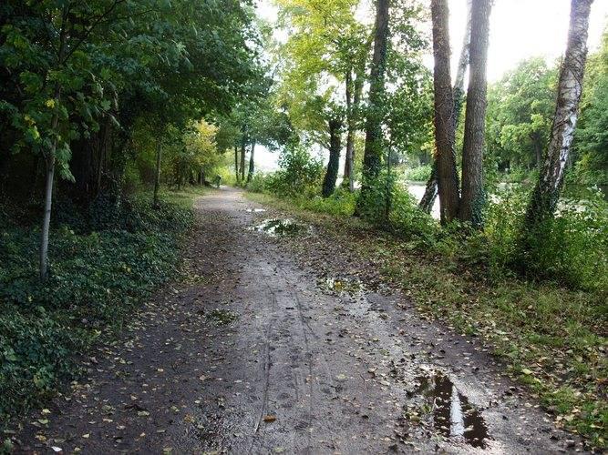 Spaziergang auf dem Havelhöhenweg