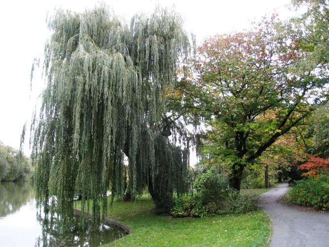 Joggingstrecke in Hohenschönhausen