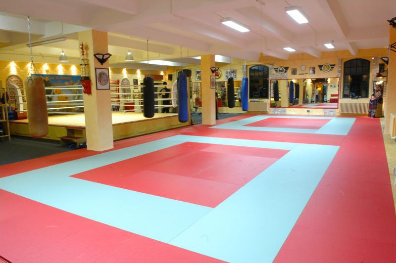 Fighting School Mewis Dojo