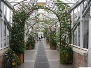Foto: Königliche Gartenakademie