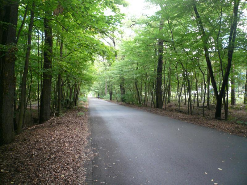 Skating route at Kronprinzessinnenweg