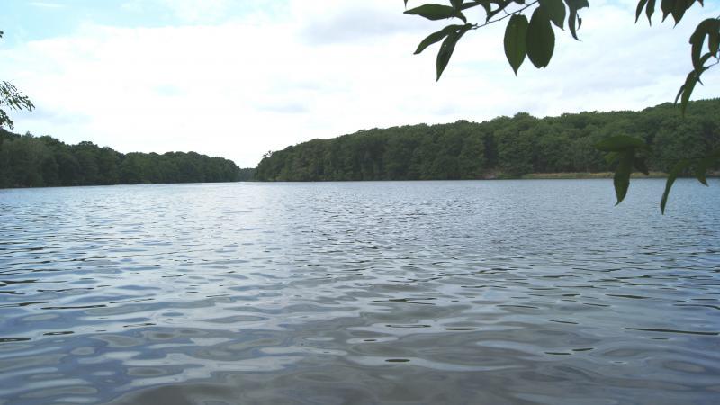 Stranbad Liepnitzsee