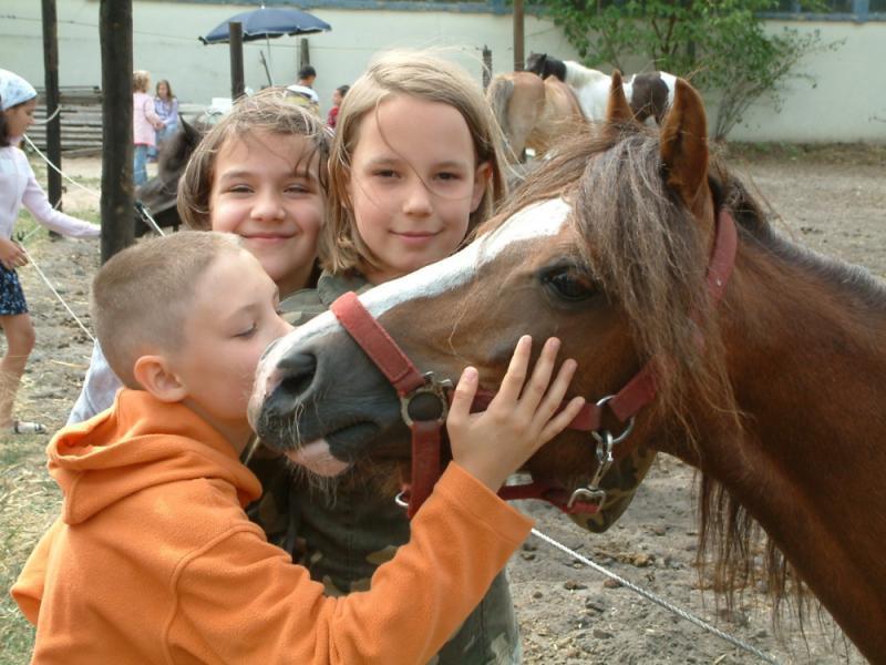 Foto: Pferdesportpark Karlshorst