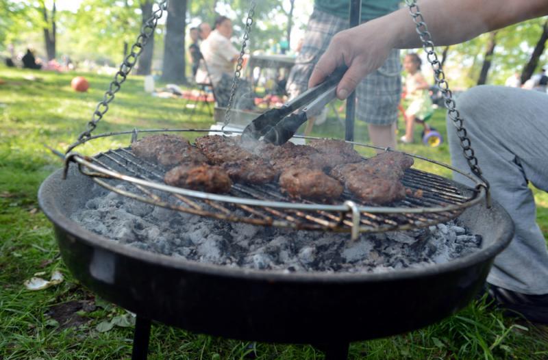 Grillplatz Schlesischer Busch