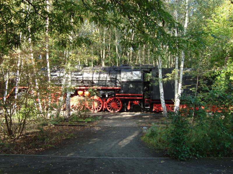 Photography at the Natur-Park Schöneberger Südgelände