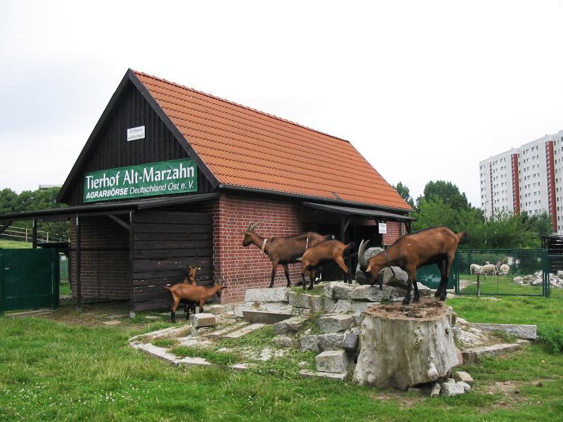 Foto: Tierhof Alt-Marzahn