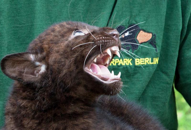 Tierpatenschaft im Tierpark Berlin-Friedrichsfelde