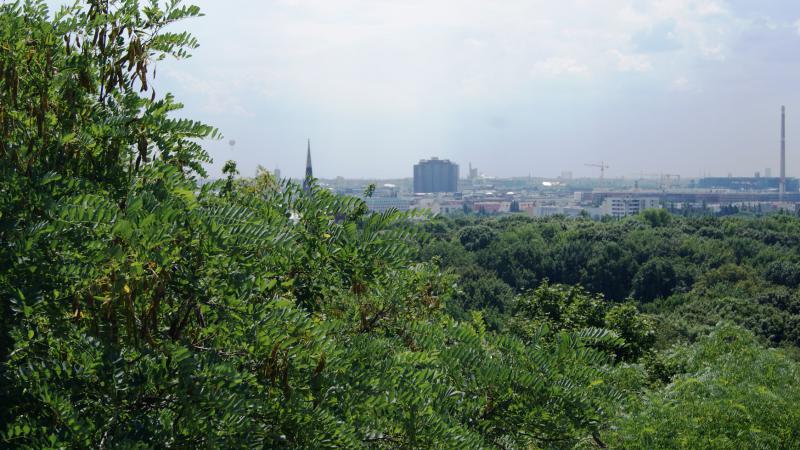 Picnic at Volkspark Humboldthain