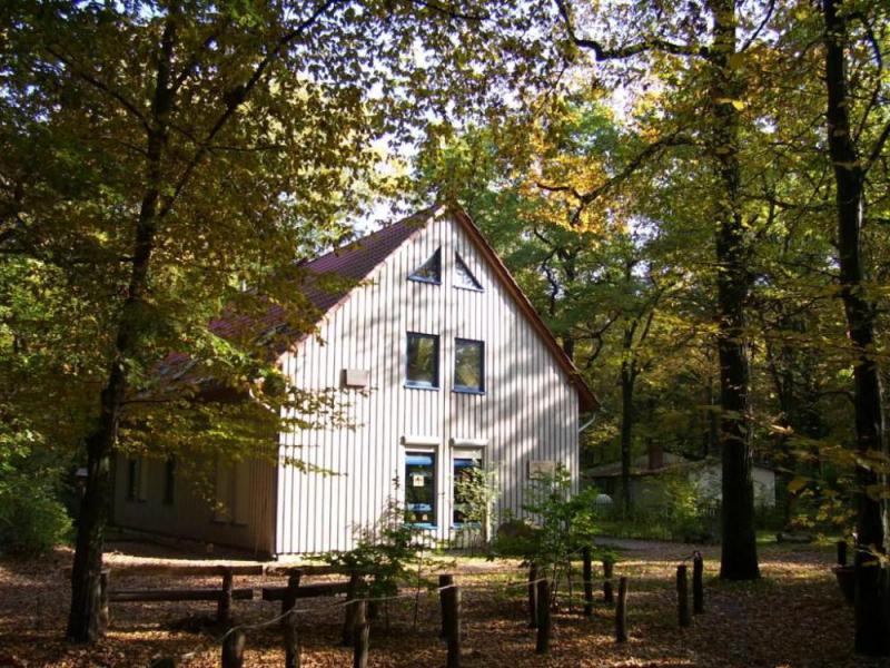 Foto: Waldschule Plänterwald