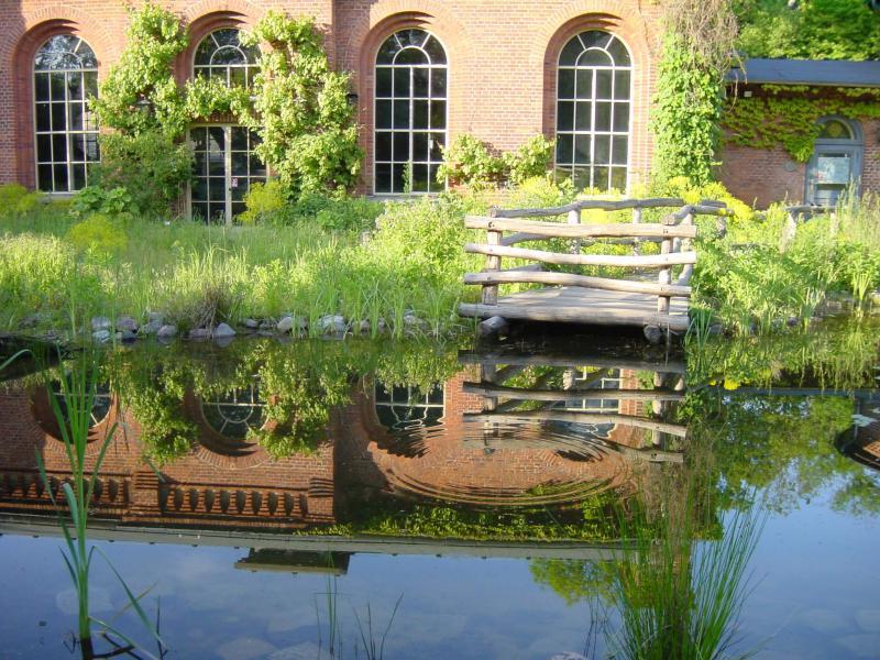 Foto: Naturschutzzentrum Ökowerk Berlin e.V.