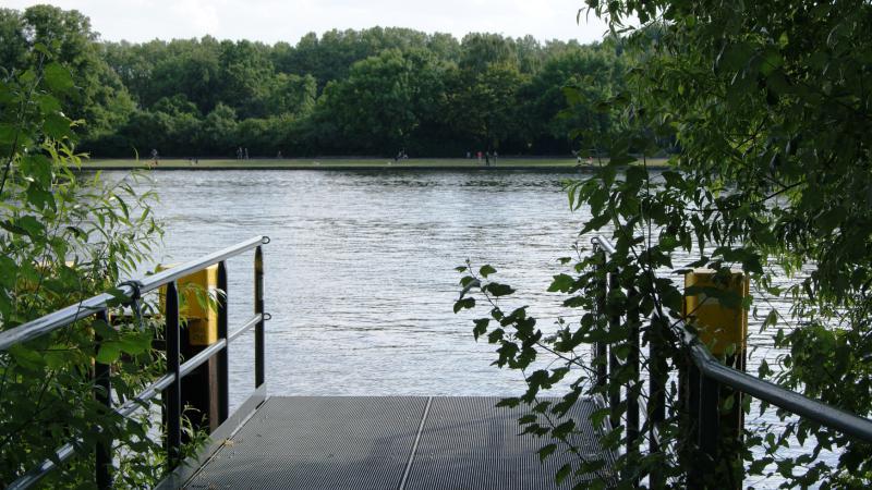 Picknick auf der Halbinsel Stralau – Wendewiese