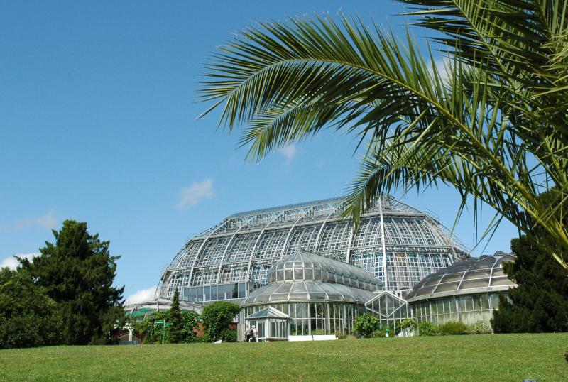 Tropenhaus im Botanischen Garten