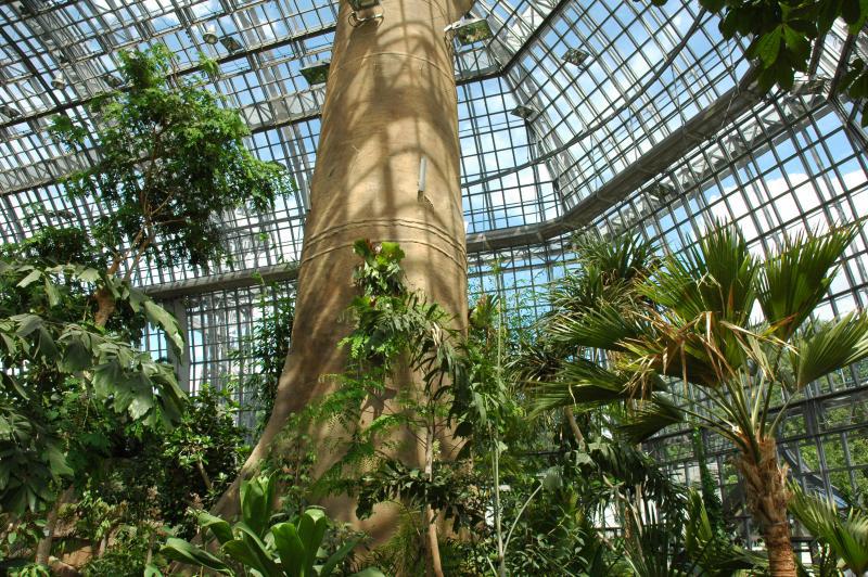 Greenhouse in the Botanical Garden