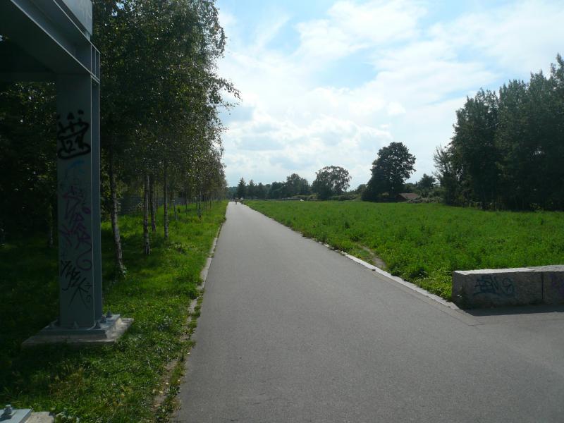 Skatestrecke im Hans-Balluschek-Park