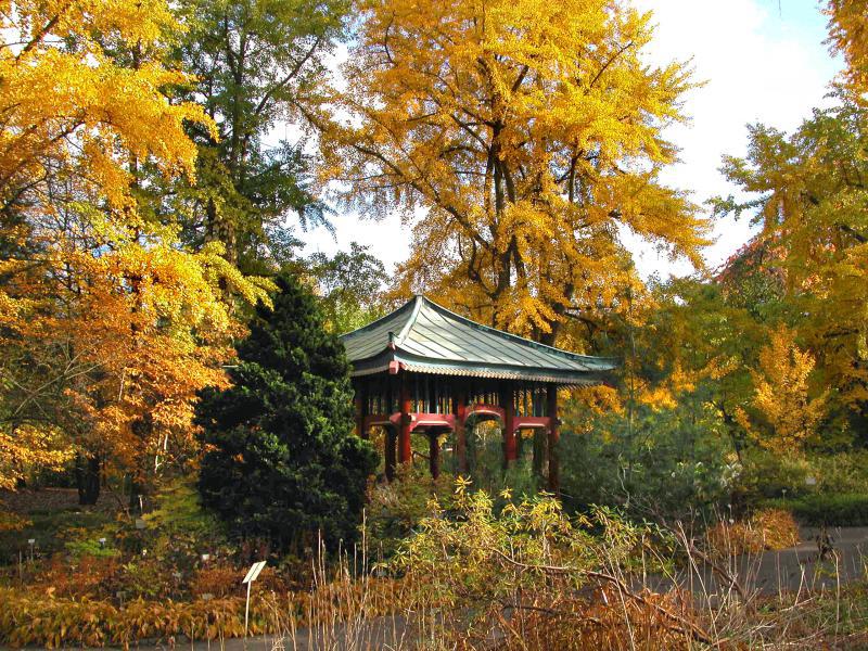 Botanical Garden Dahlem