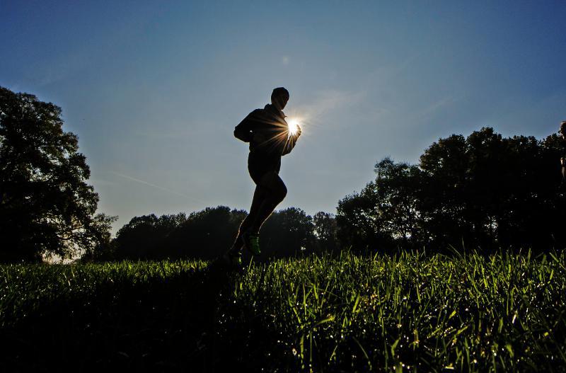 Joggingstrecke im Volkspark Jungfernheide