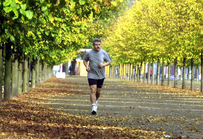 Joggingstrecke im Großen Tiergarten