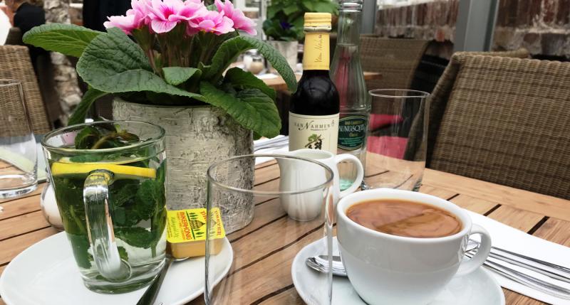 Sunday brunch in a greenhouse