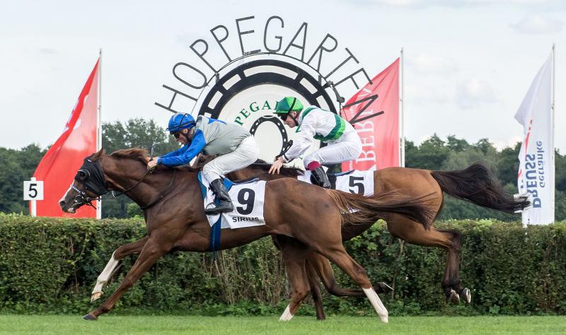 Ostersonntag auf der Rennbahn Hoppegarten