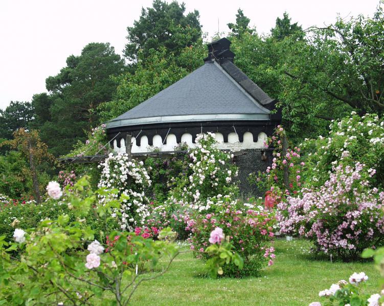 Botanische Nacht im Botanischen Garten Dahlem