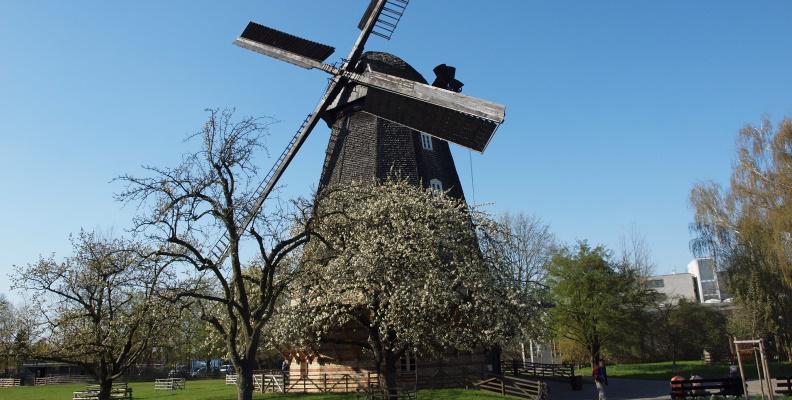 Wedding in the Britz Windmill