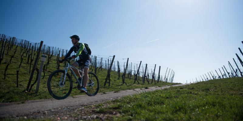 Abenteuerliche Mountainbike-Strecke in Strausberg