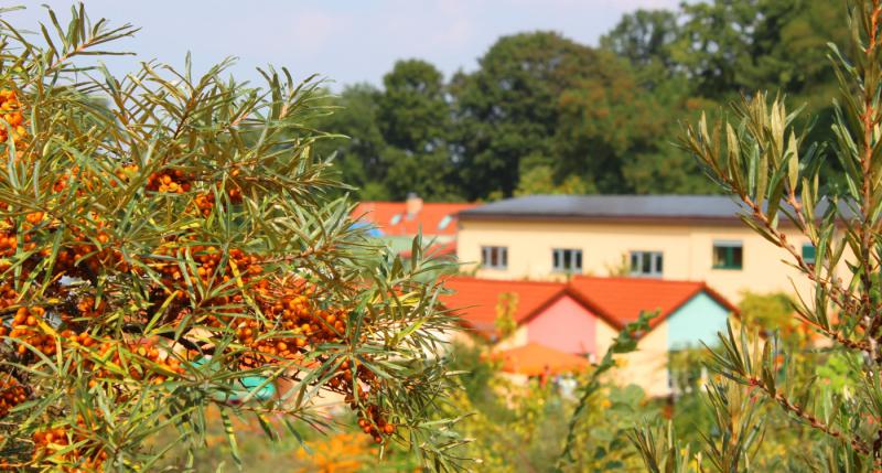 SanddornGarten Petzow Ausflüge in die Natur in Brandenburg www
