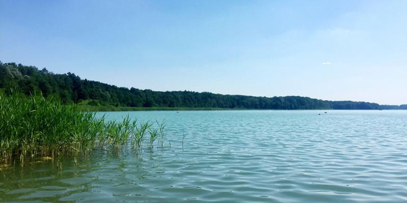 Picture: Sacrower See