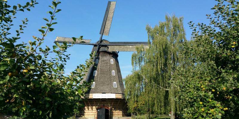 Heiraten in der Britzer Mühle