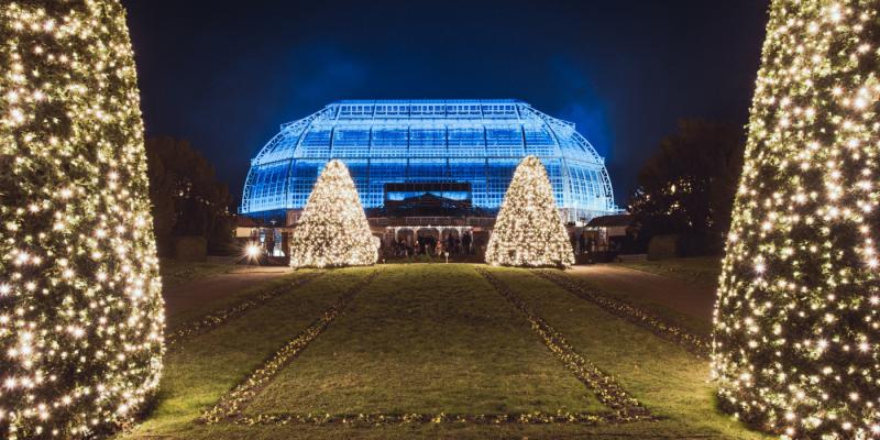 Christmas Garden im Botanischen Garten Berlin