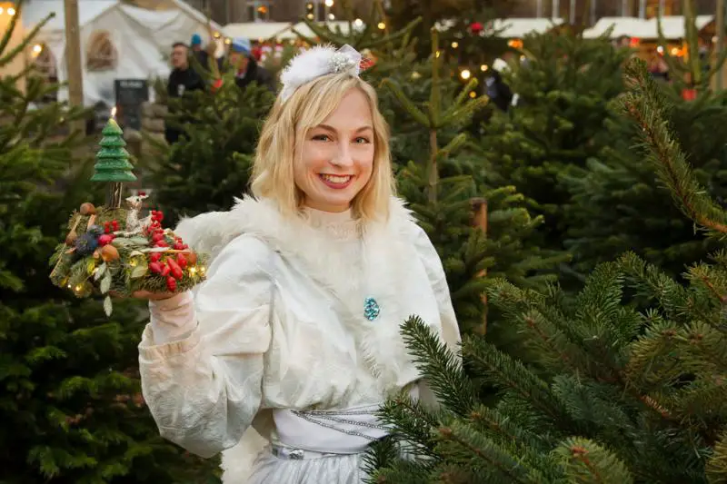 Picture: Christmas market at Späth's tree nurseries