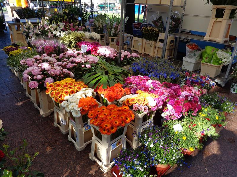 Brandenburg Farmers’ Market on Wittenbergplatz