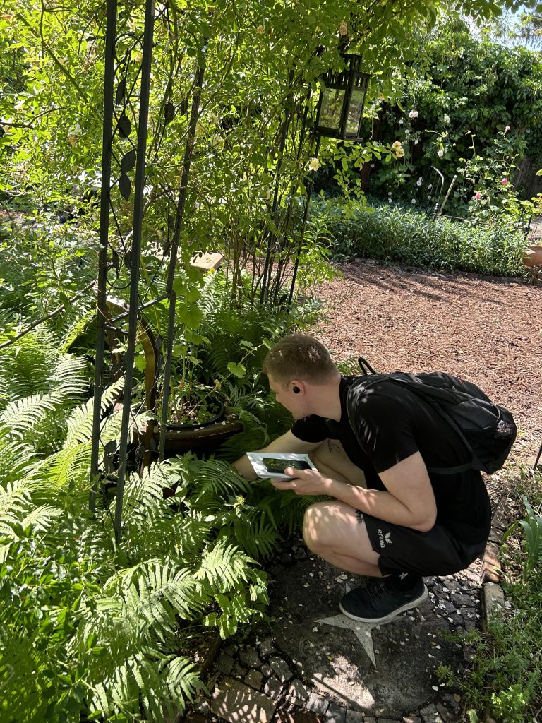 Person sucht mit einem Tablet inmitten von Farnen in einem dichten Garten nach versteckten Hinweisen.